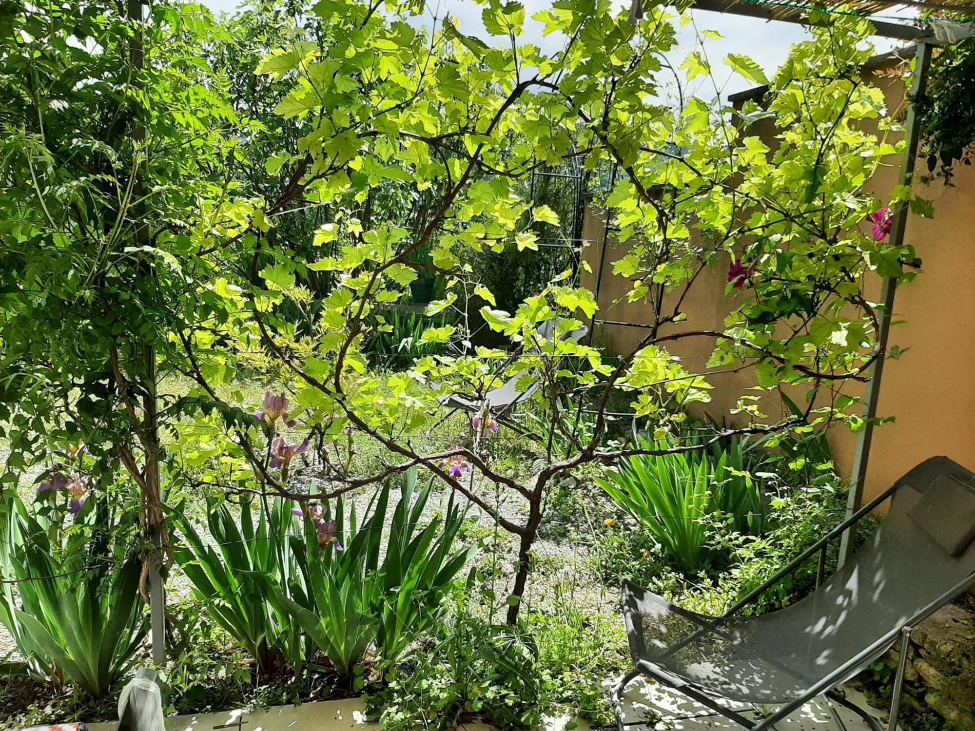 T.Belle Vue Panoramique Au Coeur Du Luberon 40M2 + Pergola . Jardin. P Apartment อัพท์ ภายนอก รูปภาพ